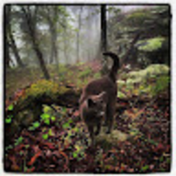 Meet your Posher, Leah - Picture 1 of 1